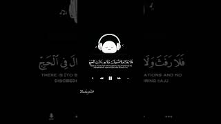 ﴿ الْحَجُّ أَشْهُرٌ مَّعْلُومَاتٌ﴾بصوت#وديع_اليمني#shortvideo #quran#حالات #واتساب#قران_كريم#كروما