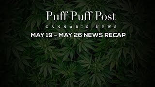 Cannabis News Recap (May 19 – May 26)