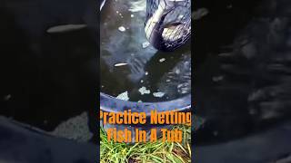 How To Practice With A Dip Net #fishing