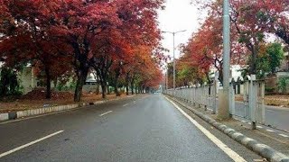 Chandigarh freestyle road trip