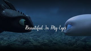 Beautiful In My Eyes ||| {How to Train Your Dragon}