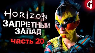 НАВОДНЕНИЕ ➤ Horizon Forbidden West ➤ Прохождение #20 ➤ PS5