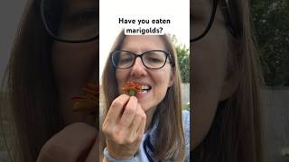 I ate marigolds 😱 #kitchengarden #growveg #garden #viral