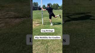 For goalies who want better hip mobility