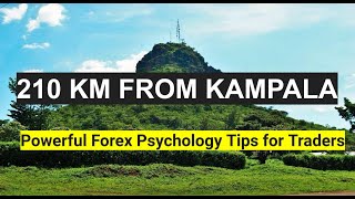 Unlocking Forex Success: Psychology Tips from 210km Outside Kampala