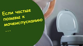 Частые Позывы На Мочеиспускание - Ощущение Что Полный Мочевой Пузырь Дифорол