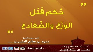 حكم قتل الوَزَغ والضّفادع - الشيخ ‏ابن عثيمين