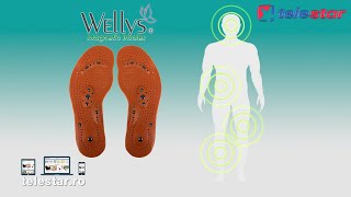 Wellys magnetic insoles - branturi cu presopunctura si magneti