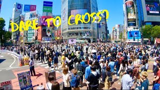 Tokyo Shibuya Crossing - All you need to know