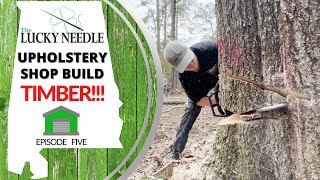 TIMBER!!! Cutting Down Large Trees - Upholstery Shop Build Ep 05