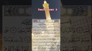 Surat yasin ayat 5#surat #alquran #ngajionline #tutorial #tutorial