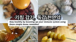 😷 Home remedies for cough, cold and flu, how to boost immune system 기침 빨리 낫는 민간요법 /면역력 강화 음식