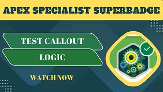 Test Callout Logic | Apex Specialist Superbadge