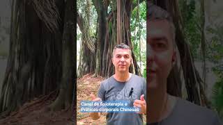 Venha para o meu canal. Aprenda exercícios de fisioterapia e Práticas Corporais Chinesas