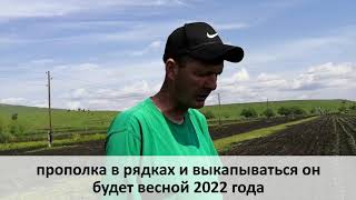 Репортаж с полей Биолит 2021