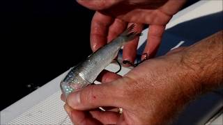 Rigging Cut Herring With Tandem Single Hook Rig-VQ style