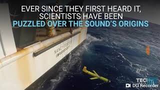 Top 6 sounds in the ocean