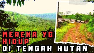 PETUALANGAN ALAM DESA TERPENCIL DI TENGAH HUTAN