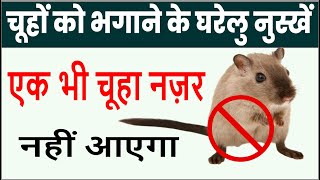 चूहों को बिना मारे घर से भगाने के घरेलू  नुस्खें | Home Remedies to Get Rid of Rats