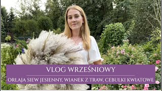 Vlog ogrodowy | Orlaja siew jesienny | wianek z traw | przyszło zamówienie z roślinami cebulowymi