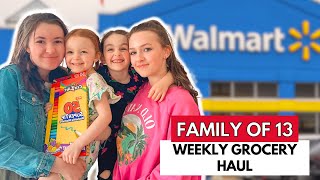 BIG Family GROCERY Haul: Shopping For 11 KIDS At Walmart!