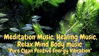 Meditation Music, Healing Music, Relax Mind Body music "Pure Clean Positive Energy Vibration"