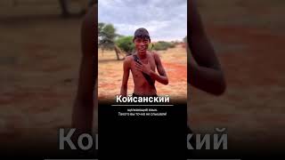 Койсанский щелкающий #shortsbeta #shortsyoutube #shortsvideo  язык