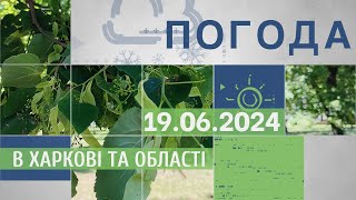 Прогноз погоди в Харкові та Харківській області на 19 червня