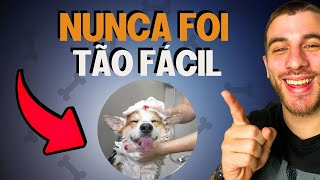 Como Dar Banho No Seu Cachorro Da Forma Certa (Sem Estresse)