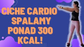 Ciche cardio dla początkujących na stojąco! Bez maty, bez skakania, bez tupania. Palimy 300 kcal!