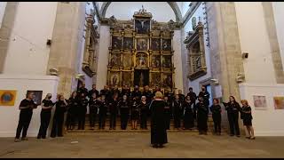 Aures Cantibus, Zamora: Ya se van los pastores, canción folklórica de Castilla