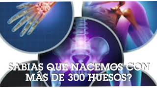 ¿ Cuántos hueso tiene el cuerpo humano?