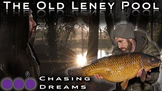 Carp Fishing - This lake holds some stunners!