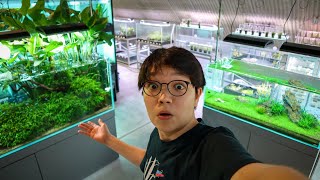 Futuristic FISH STORE TOUR in JAPAN!