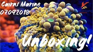 Cairns Marine Unboxing | Hand picked selection!