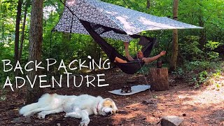 SOLO OVERNIGHT HAMMOCK CAMPING WITH A DOG /  A Great Pyrenees backpacking adventure