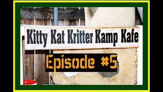 Kitty Kat Kritter Kamp Kafe, episode 5