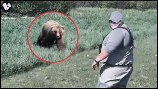 Amazing : 20 Terrifying Moments Giant Invasive Species Encounter Humans | Wild Boar Hunting