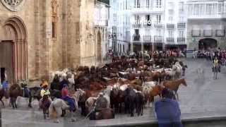 Caballos pasando por la Catedral   San Lucas 2014