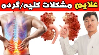 علایمی که نشان میدهند کلیه/گرده شما مشکل دارد! تشخیص مشکلات کلیه/گرده بدون معاینات؛