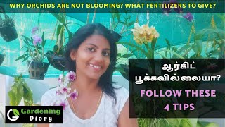 ஆர்கிட் செடி பூக்க டிப்ஸ், உரம் - Orchids not blooming 4 reasons - Fertilizing tips for orchids