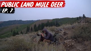 STORM ON THE MOUNTAIN!!! Idaho Mule Deer Hunting 2020