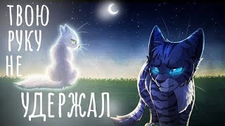 ЗАКАЗ: коты-воители Половинка Луны и Воробей. Твою руку не удержал ||Даниэла||