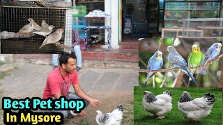 Pet shop Visit in Mysore // Best Aquarium fishes, love birds, finches, cats, hamsters etc.//