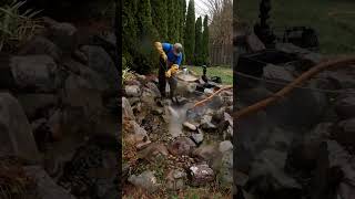 Gross Algae Filled Koi Pond get Power Washed and Cleaned 🧽  | #shorts