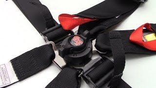 First Look: G-FORCE Racing Gear FIA 6 Point Harness