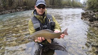 Podzimní lipani z Rakouska / Autumnal fly fishing for grayling