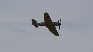 Flying Legends 2023: Hawker Sea Fury