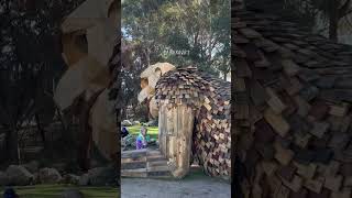 Giants of Mandurah #westernaustralia #perth #australia