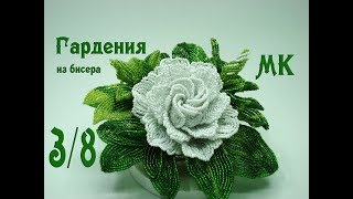 МК «Гардения из бисера». Часть 3/8.  // Композиция в кокосе.  // Gardenia bead.